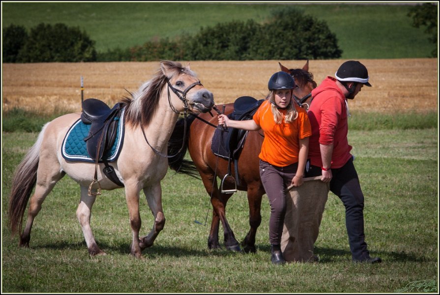 Mounted Games 304